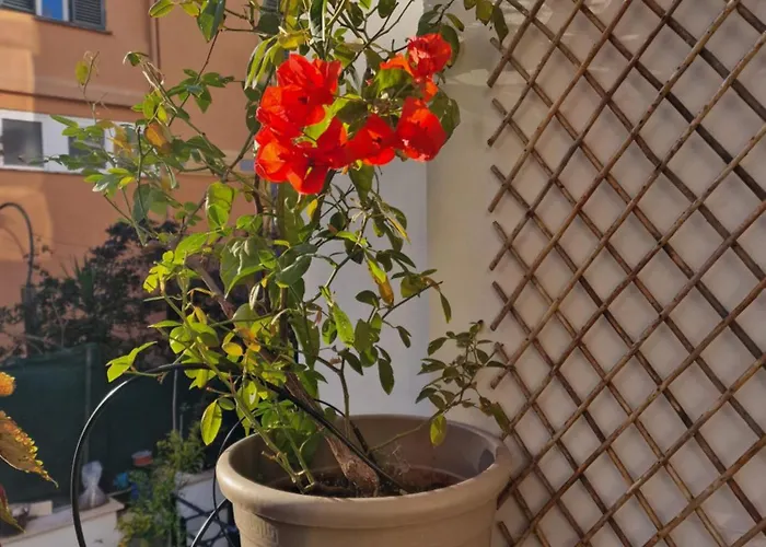 Casa Caudì Roma
